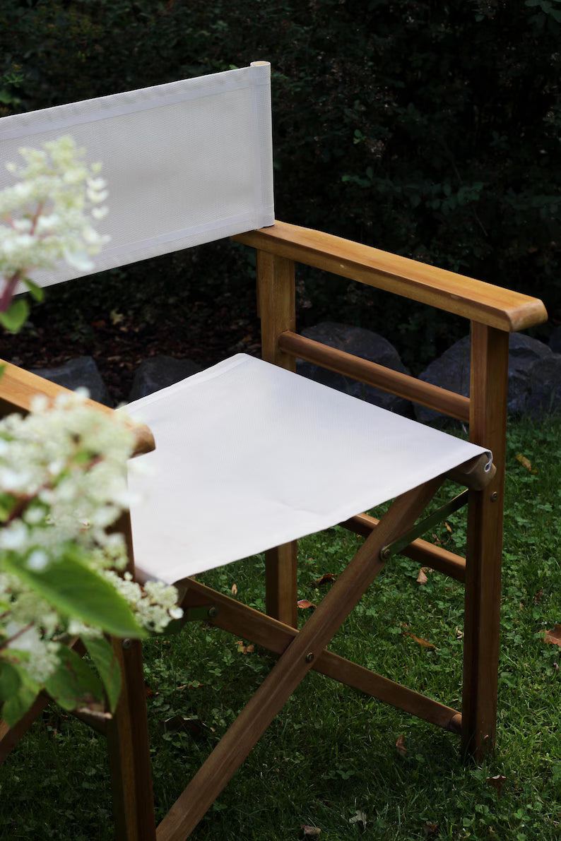 Director's chair/ garden furniture/ folding camping chair