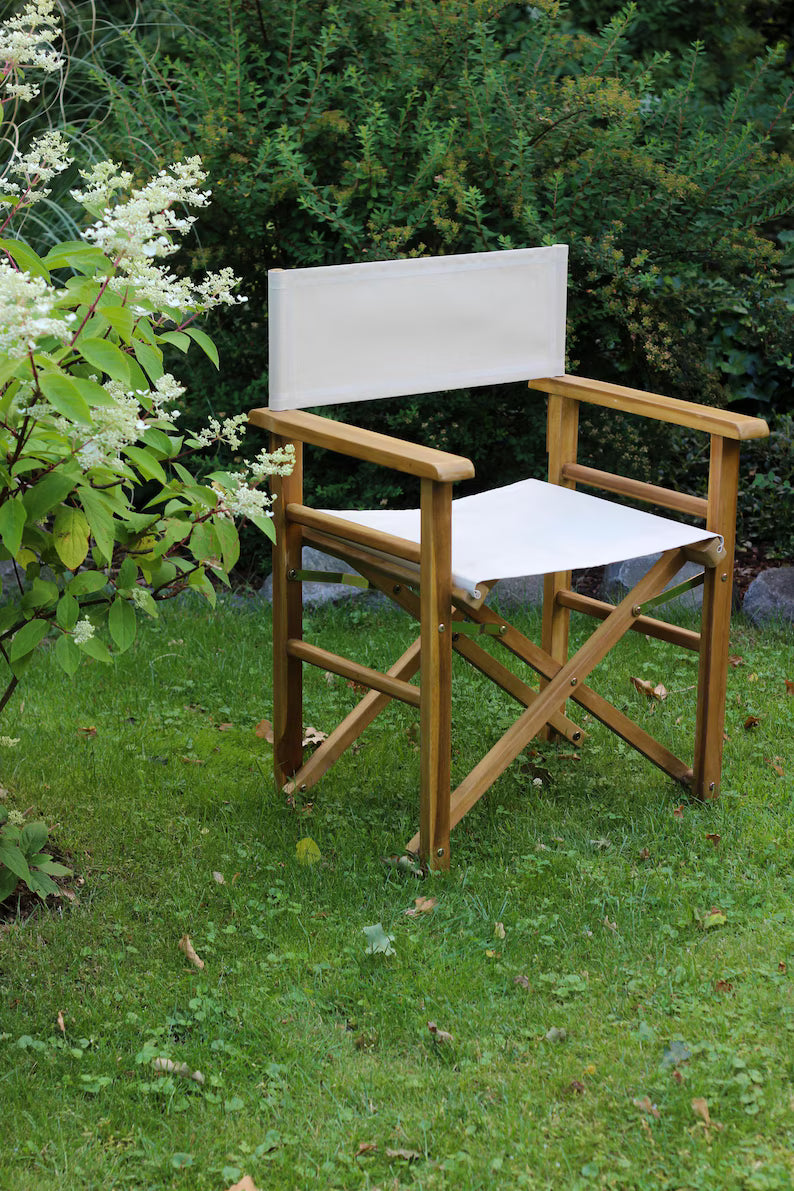 Director's chair/ garden furniture/ folding camping chair