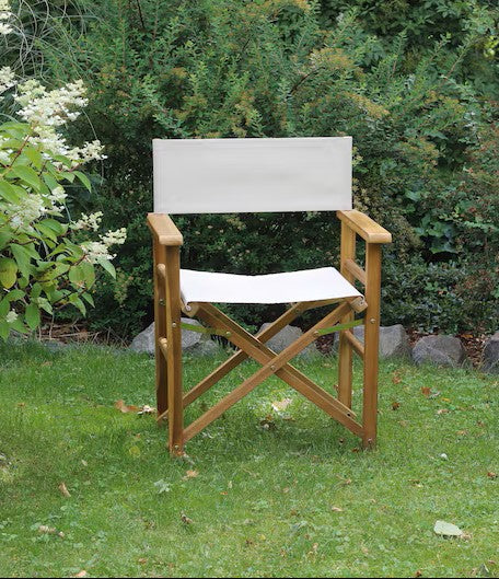 Director's chair/ garden furniture/ folding camping chair